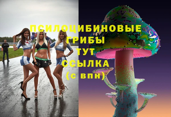 синтетический гашиш Богородск