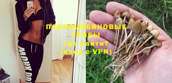 а пвп мука Арсеньев