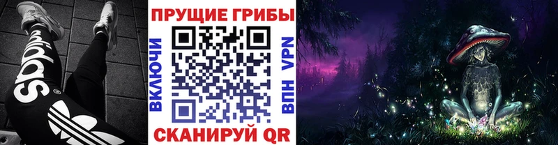 Псилоцибиновые грибы GOLDEN TEACHER закладки Можга