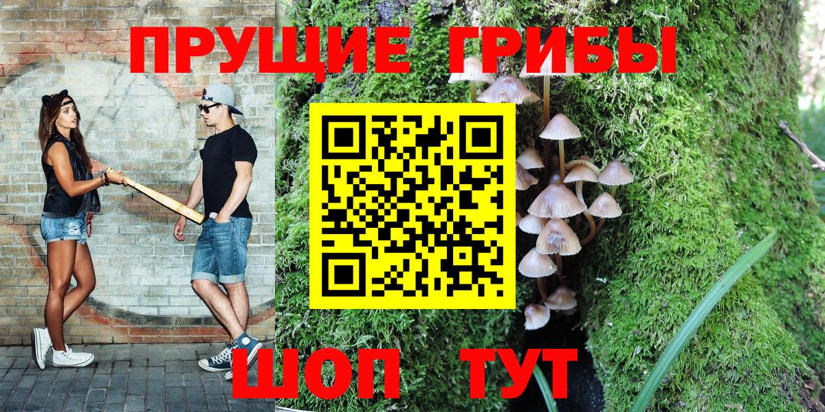 Псилоцибиновые грибы Magic Shrooms  Вход с VPN  Можга 